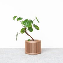 Load image into Gallery viewer, Origami Planter - Lined (2 sizes)
