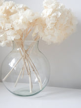 Load image into Gallery viewer, Hydrangea (off-white)
