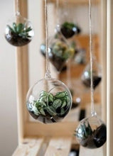 Load image into Gallery viewer, Hanging Glass Sphere (set of 4)
