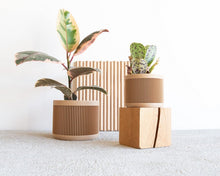 Load image into Gallery viewer, Origami Planter - Lined (2 sizes)
